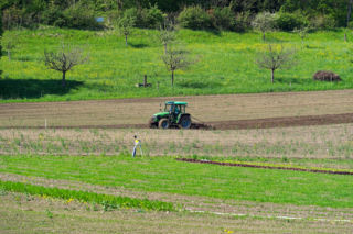 16‑latek walczy o życie po wypadku na polu. Ciągnik wciągnął go między maszynę a agregat