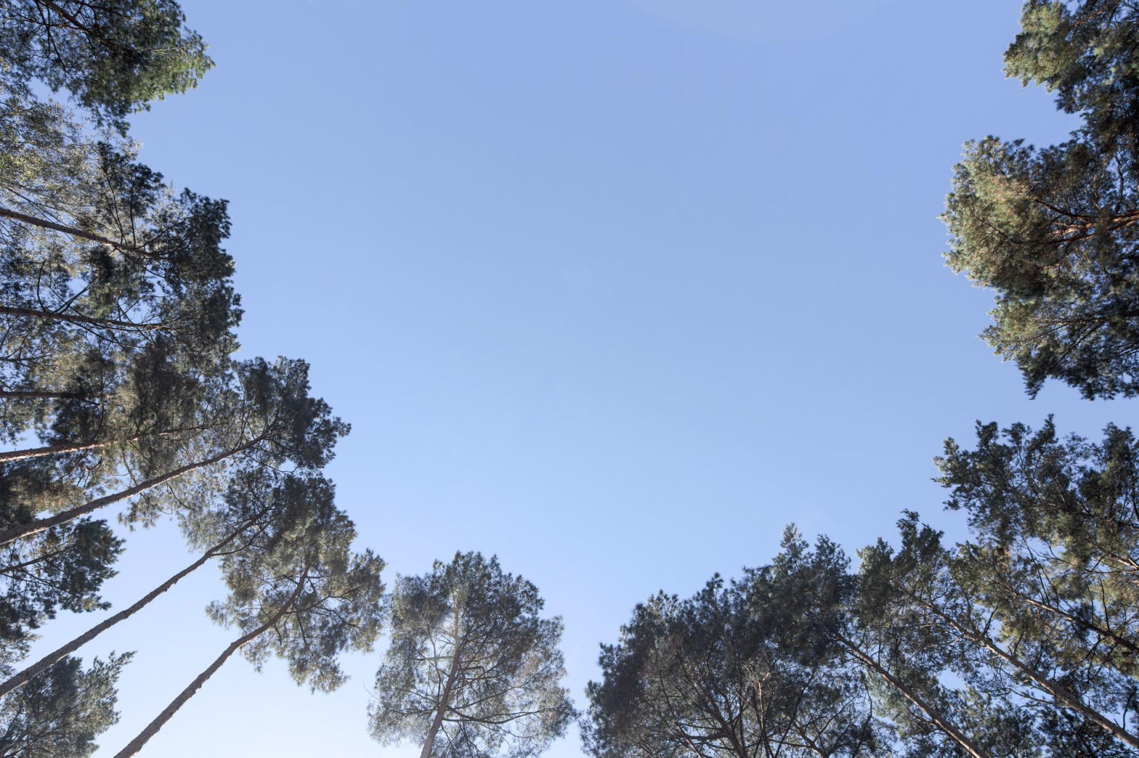 Dom z Polaną pod Warszawą