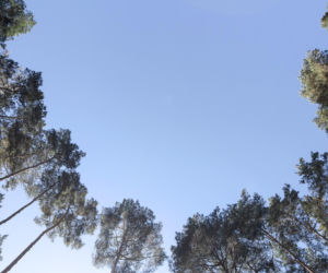 Dom z Polaną pod Warszawą