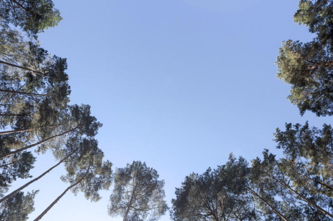 Dom z Polaną pod Warszawą