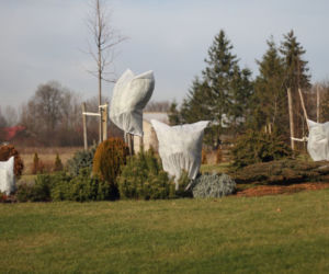 Agrimpex - osłony zimowe