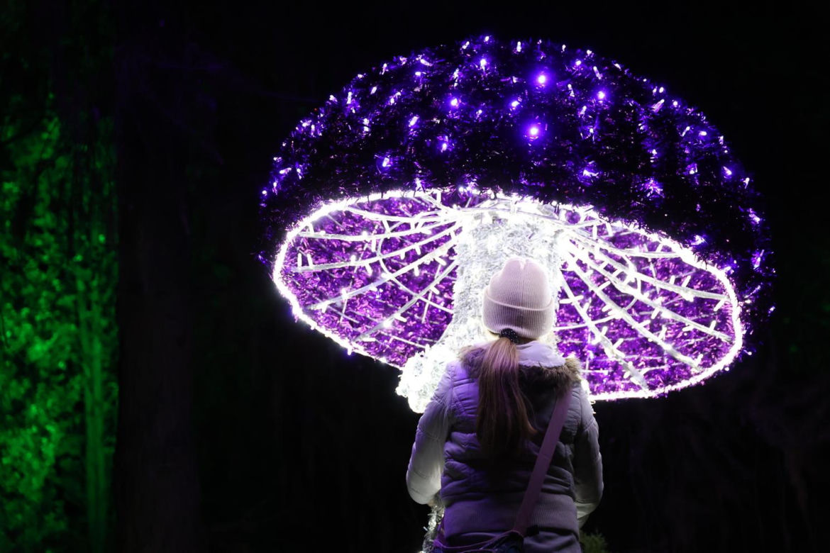 Park iluminacji 2023 w Lublinie