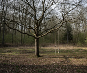 Owczarek porzucony w lesie. Co grozi oprawcy za ten bestialski czyn?