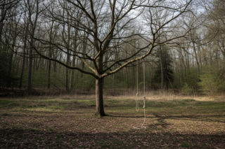 Owczarek porzucony w lesie. Co grozi oprawcy za ten bestialski czyn?