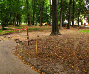 Rewitalizacja parku przy ul. Dąbrowskiego w Rzeszowie