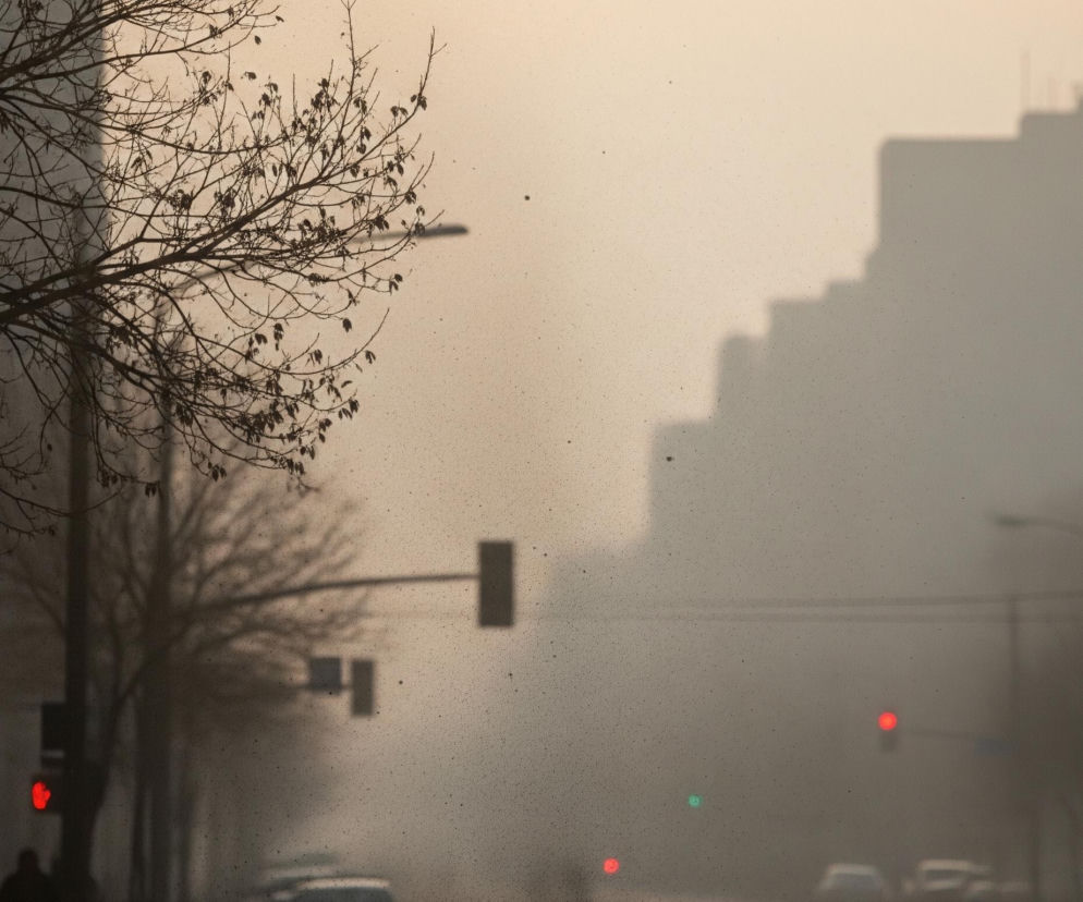 Na zdjęciu dominuje zamglona, miejska sceneria. Z lewej strony widoczne jest ciemne, bezlistne drzewo, którego gałęzie rozciągają się w górę i w prawo, częściowo przesłaniając jasne, mgliste tło. W oddali, w centrum i po prawej stronie, majaczą niewyraźne sylwetki wysokich budynków oraz słupy sygnalizacji świetlnej, z których jeden świeci na czerwono, a drugi na zielono. Całość pokrywa jednolita warstwa mgły lub smogu, nadając obrazowi szaro-beżowy, ziarnisty odcień.