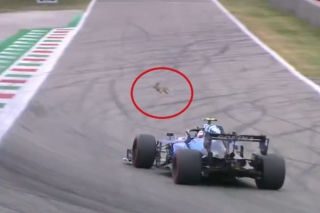 KRÓLIK wbiegł na tor F1 podczas wyścigu. Dzięki zawrotnej prędkości uniknął zderzenia z bolidem [WIDEO]