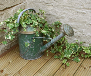 dekoracje balkon