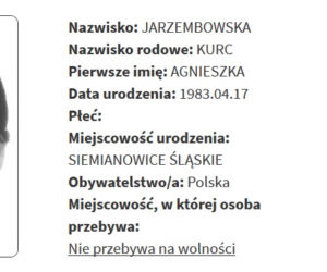 Rejestr Przestępców Seksualnych z województwa śląskiego [ZDJĘCIA]