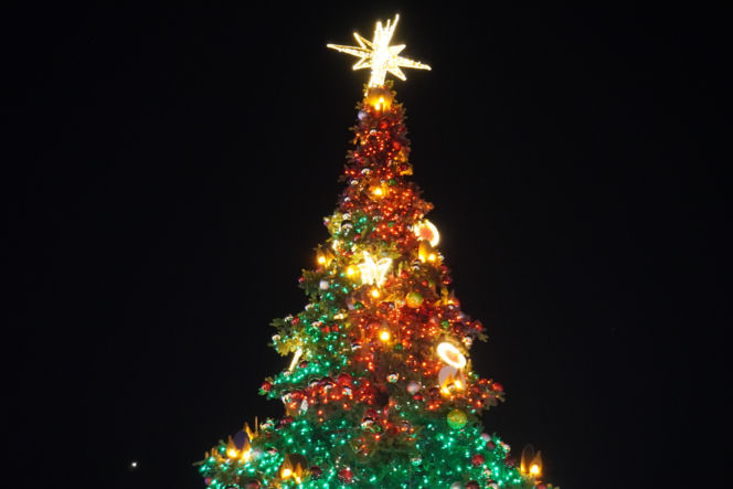 Świąteczne Miasteczko w Rzeszowie już otwarte!