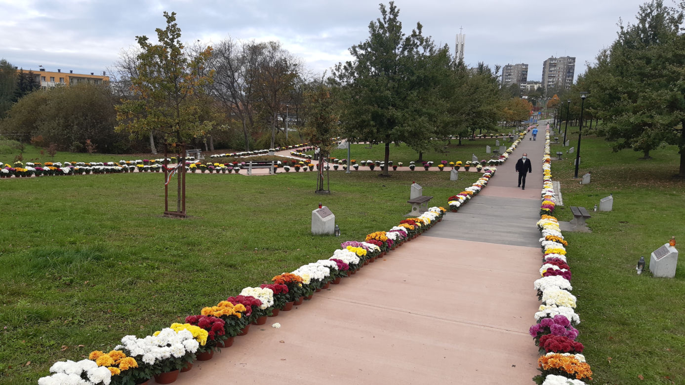 Dwa tysiące chryzantem ozdobiło park w Tarnowie