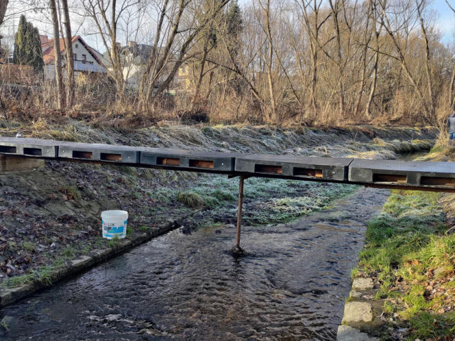 Ciało 11-letniej dziewczynki odnalezione niedaleko szkoły. Tragedia w Jeleniej Górze