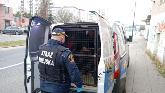 Wybili dziurę w warszawskim zabytku. Chcieli dostać się "za potrzebą"