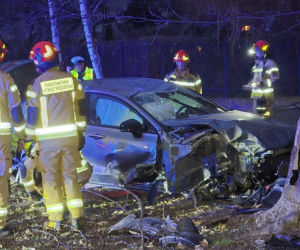 Wjechał na trawnik i uderzył w drzewo. Szokujący powód