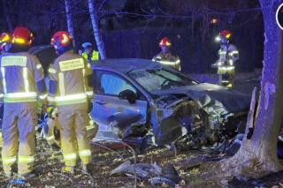 Wjechał na trawnik i uderzył w drzewo. Szokujący powód
