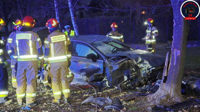 Wjechał na trawnik i uderzył w drzewo. Szokujący powód