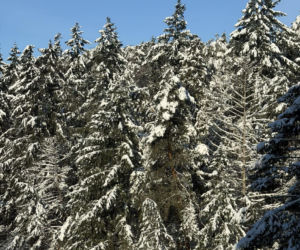 Sroga zima ponownie uderzyła na Pomorzu