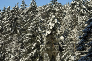 Sroga zima ponownie uderzyła na Pomorzu