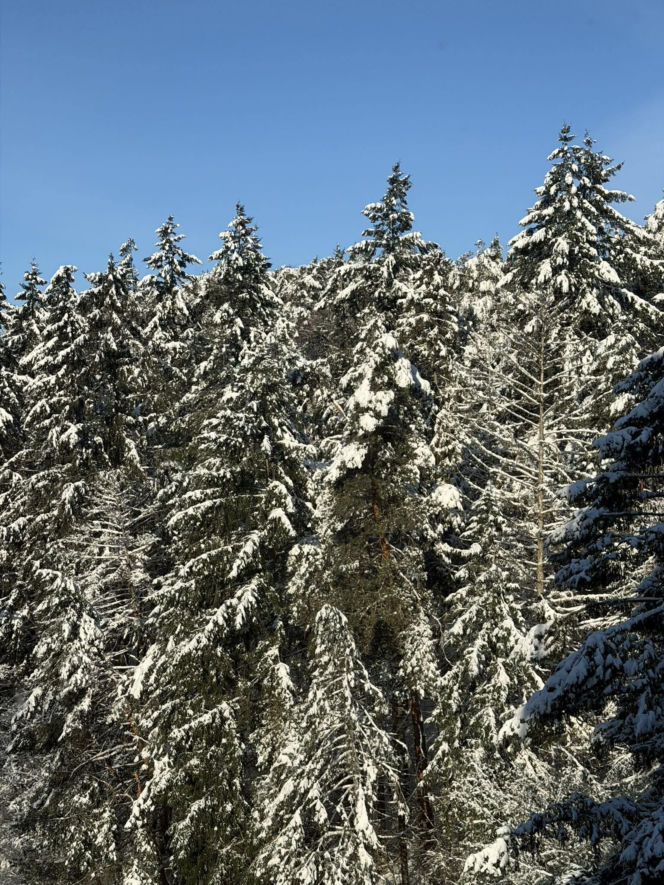 Sroga zima ponownie uderzyła na Pomorzu