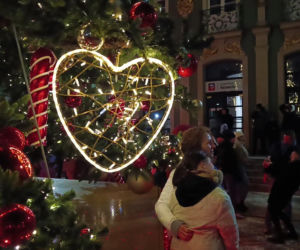 Choinka przed urzędem miasta w Szczecinie