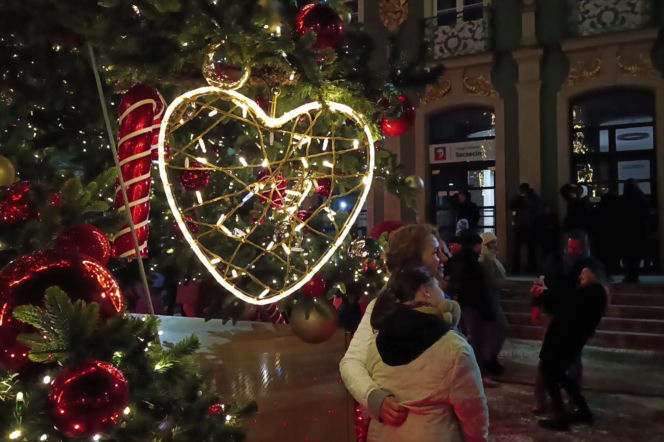 Choinka przed urzędem miasta w Szczecinie