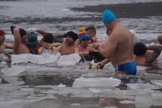 Lodowata woda, gorące emocje. Morsy znów opanowały jezioro pod Bydgoszczą
