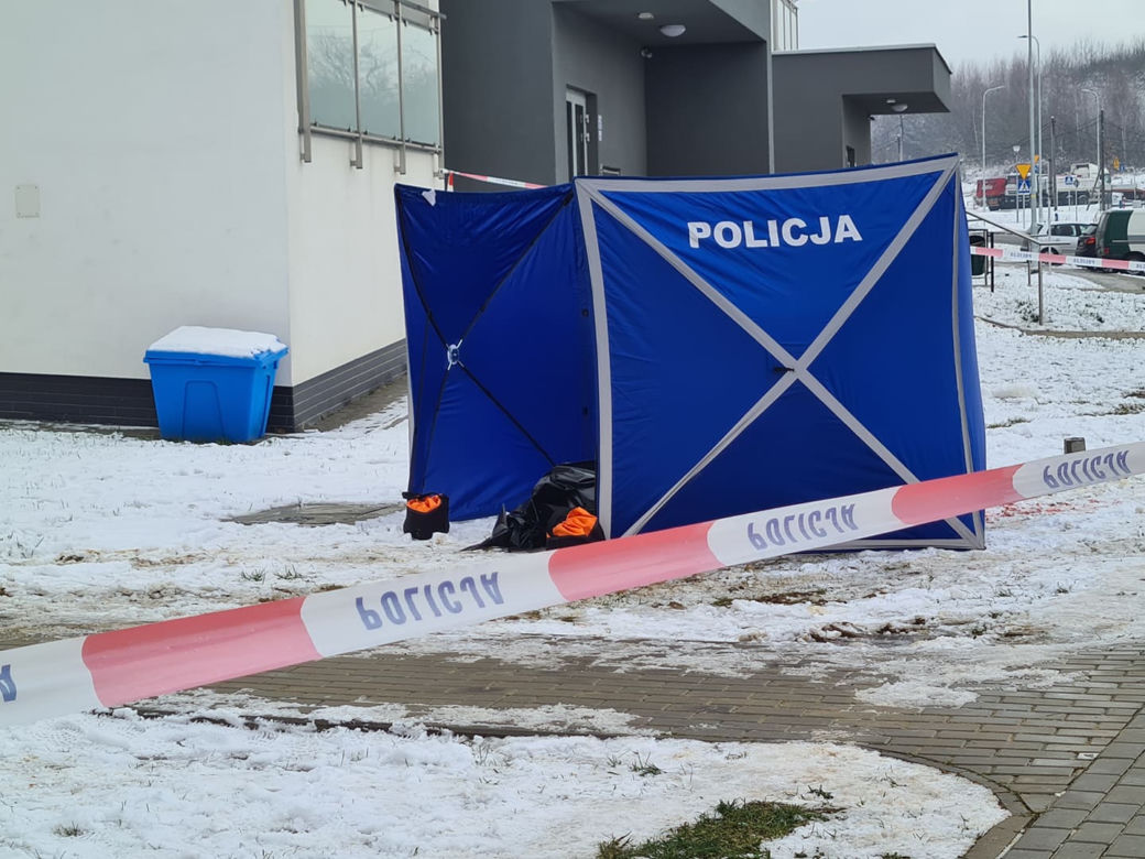 Krwawa masakra w Rzeszowie. Wołała pomocy, gdy dźgał ją nożem kuchennym. Nowe fakty [ZDJĘCIA]