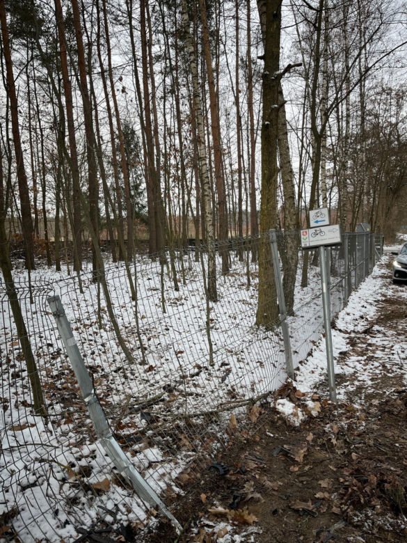 Kacper po wszystkim uciekł do lasu. "Udawał, że robi pompki"