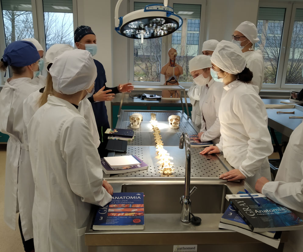 Collegium Anatomicum