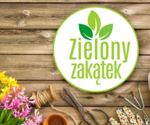 Zielony zakątek Radia Plus