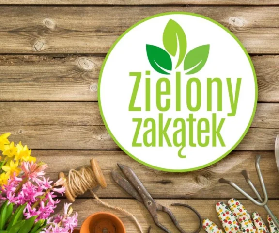 Zielony zakątek