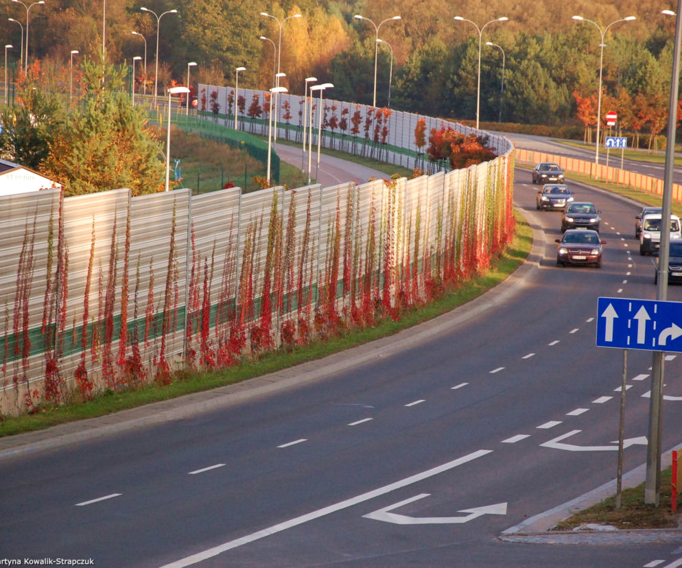 Pnącza na ekranach akustycznych w Białymstoku