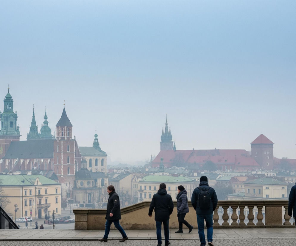 Sześciu dorosłych i jedno dziecko idą w różnych kierunkach po kamiennym tarasie, z widokiem na panoramę miasta. Na pierwszym planie, od lewej strony, widać trzy osoby: dwie dorosłe kobiety i dziecko w ciemnych kurtkach, idące pod rękę w dół schodów z czarną balustradą. Na środku tarasu, od lewej do prawej, widać trzech dorosłych mężczyzn i jedną dorosłą kobietę, również ubranych w ciemne kurtki, idących w prawo i w lewo.

Na dalszym planie rozciąga się miejski pejzaż z licznymi budynkami, w tym charakterystycznymi wieżami i spiczastymi dachami. Od lewej strony widoczne są strzeliste, zielone wieże kościoła oraz jego ceglany korpus, a także jasne budynki z zielonymi dachami. Dalej po prawej stronie widać inny duży budynek z czerwonawym dachem i dwoma okrągłymi wieżami, a w oddali, zamglone przez bladoniebieskie niebo, kolejne zabudowania. W tle panuje lekka mgła, a niebo jest jasne i blade.
