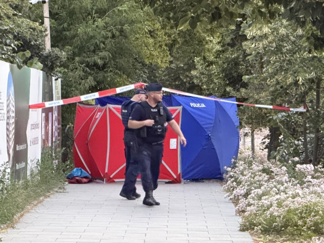 Dramat przed Komendą Policji w Warszawie. Mężczyzna spadł z żurawia, zginął na miejscu