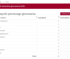 Wybory prezydenckie 2020: Jak głosowali mieszkańcy Podkarpacia