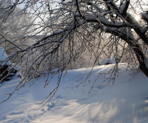 Zwłoki zaginionej 67-latki leżały w zaspie śniegu. Zatrzymany 45-latek