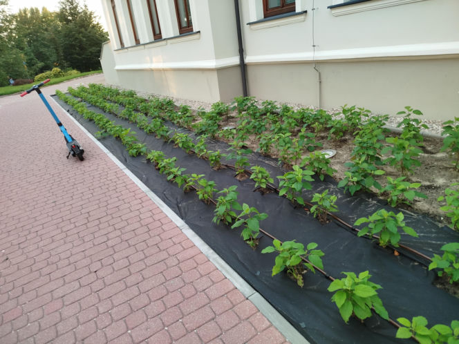 Park kieszonkowy, Siedlce, sala Podlasie