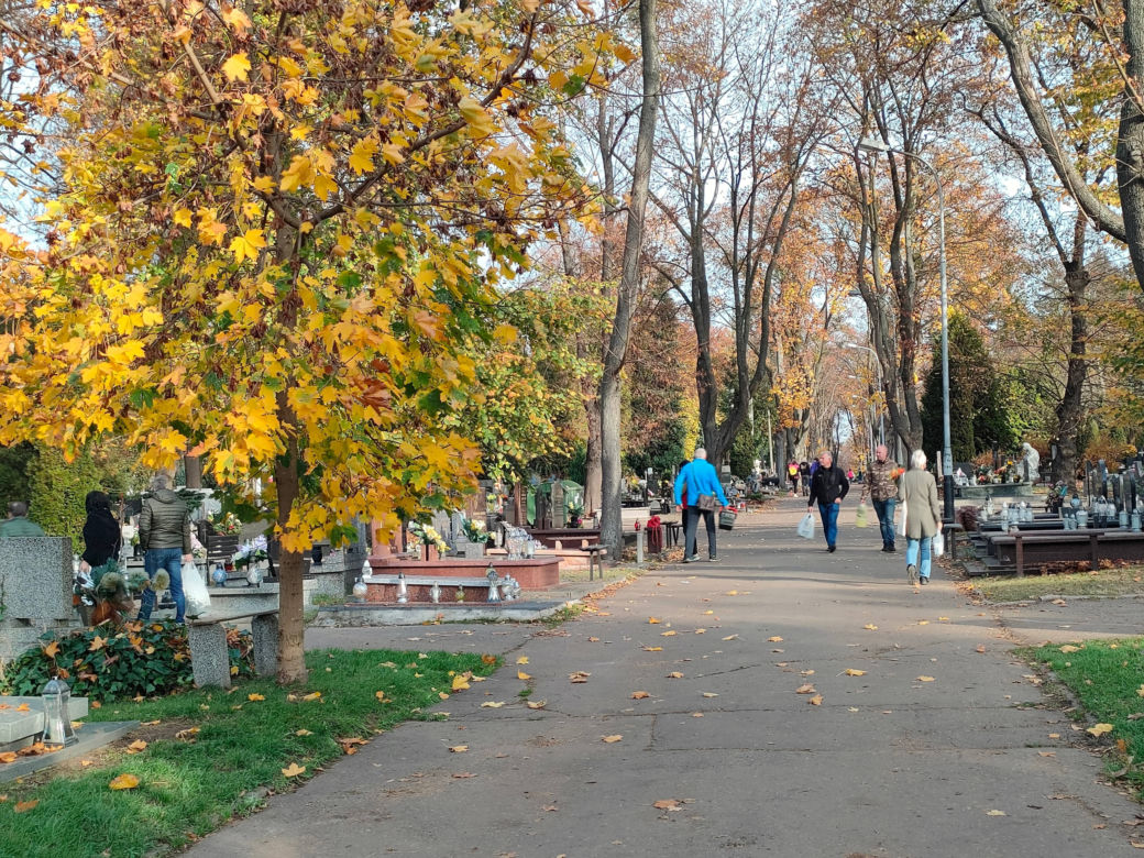 Cmentarz „Doły”. Łodzianie zadbali o to miejsce [ZDJĘCIA]