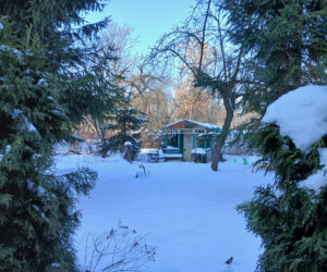 Ogródki działkowe do likwidacji w związku z budową tramwaju na Gocław
