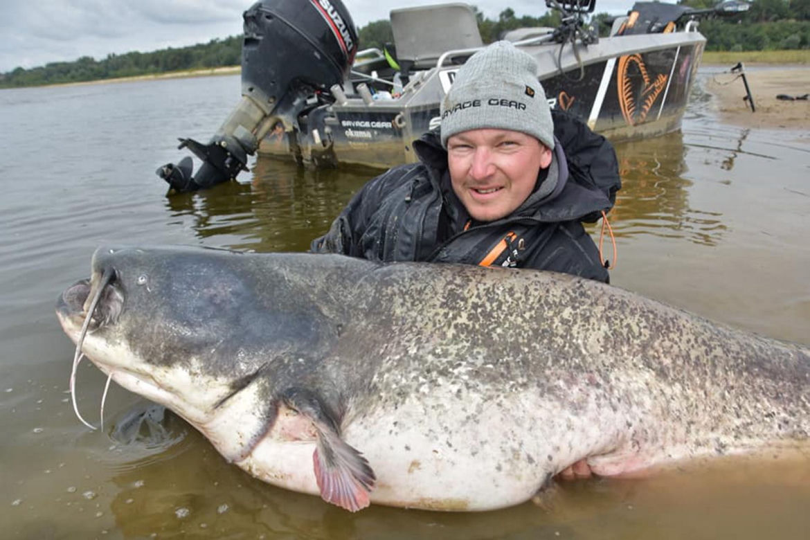 Sum-gigant złowiony pod Warszawą