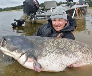Sum-gigant złowiony pod Warszawą