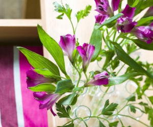 Bukiety do kuchni: natka pietruszki i alstromeria