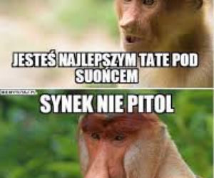 Dzień Ojca 2020. Zobacz najśmiesznieje memy. Jest Darth Vader, Ojciec Rydzyk i Ferdek Kiepski [GALERIA]