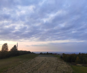 Wieża widokowa k. Rzeszowa. Magdalenka [ZDJĘCIA]