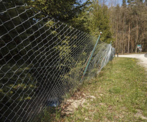 Konie i kozy terroryzują wioskę