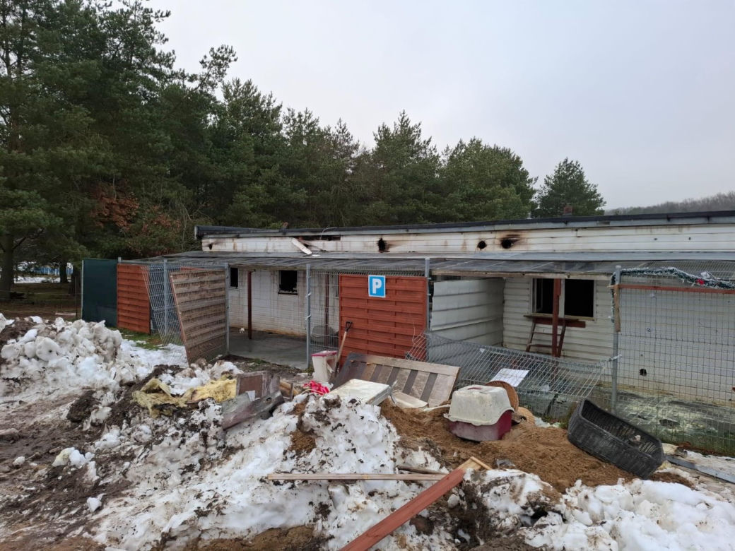 Pożar w schronisku "Dąbrówka" pod Wejherowem. Blisko trzydzieści zwierząt nie żyje. "Wszyscy tu ryczą"