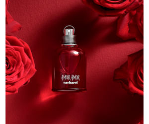 Kultowe perfumy za pół ceny. Gigantyczne promocje markowych zapachów w Hebe.