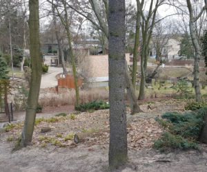 Poszukiwanie wiosny w ogrodzie zoobotanicznym w Toruniu