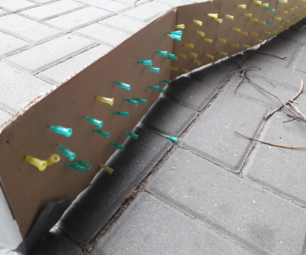 Katowice. SADYŚCI polują na psy! Zakładają PUŁAPKI z kolcami! [ZDJĘCIA]