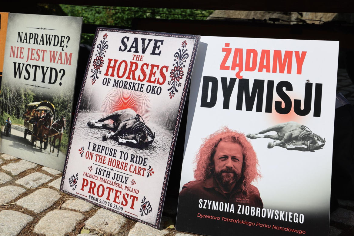 Protest przeciw przewozom konnym do Morskiego Oka